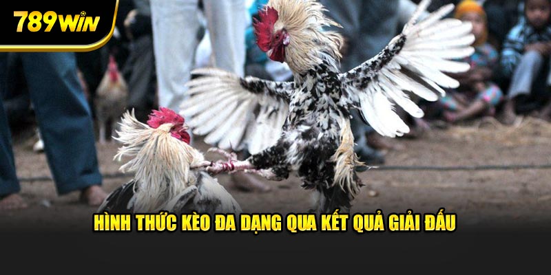 Hình thức kèo đa dạng qua kết quả giải đấu 
