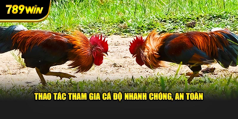 Thao tác tham gia cá độ nhanh chóng, an toàn 